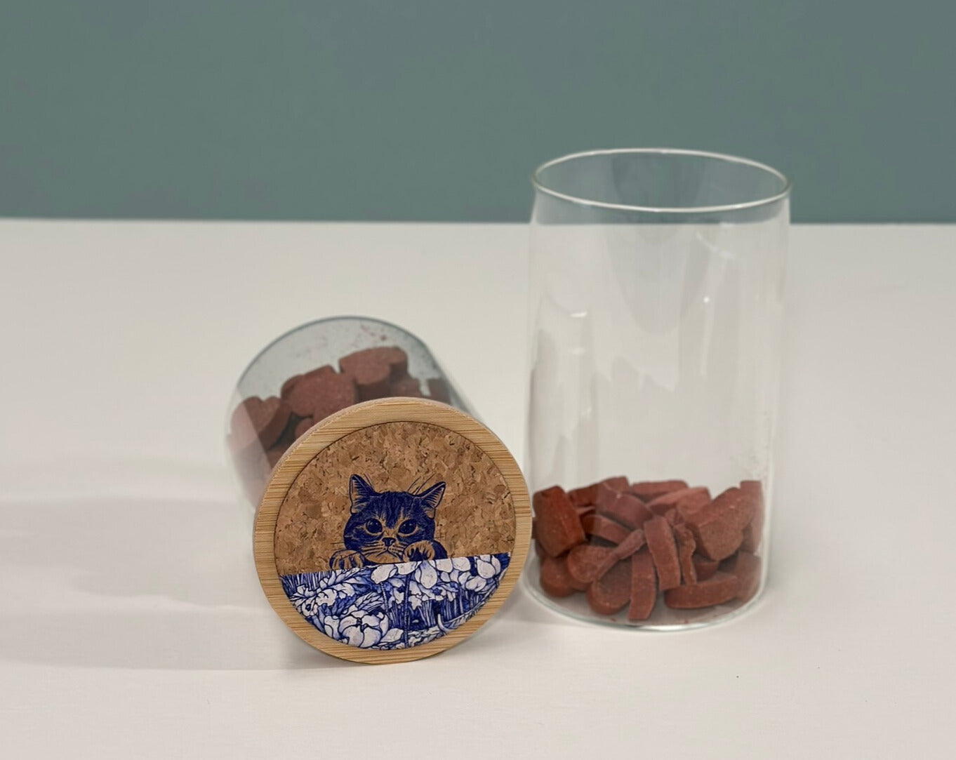 Cat Food Container