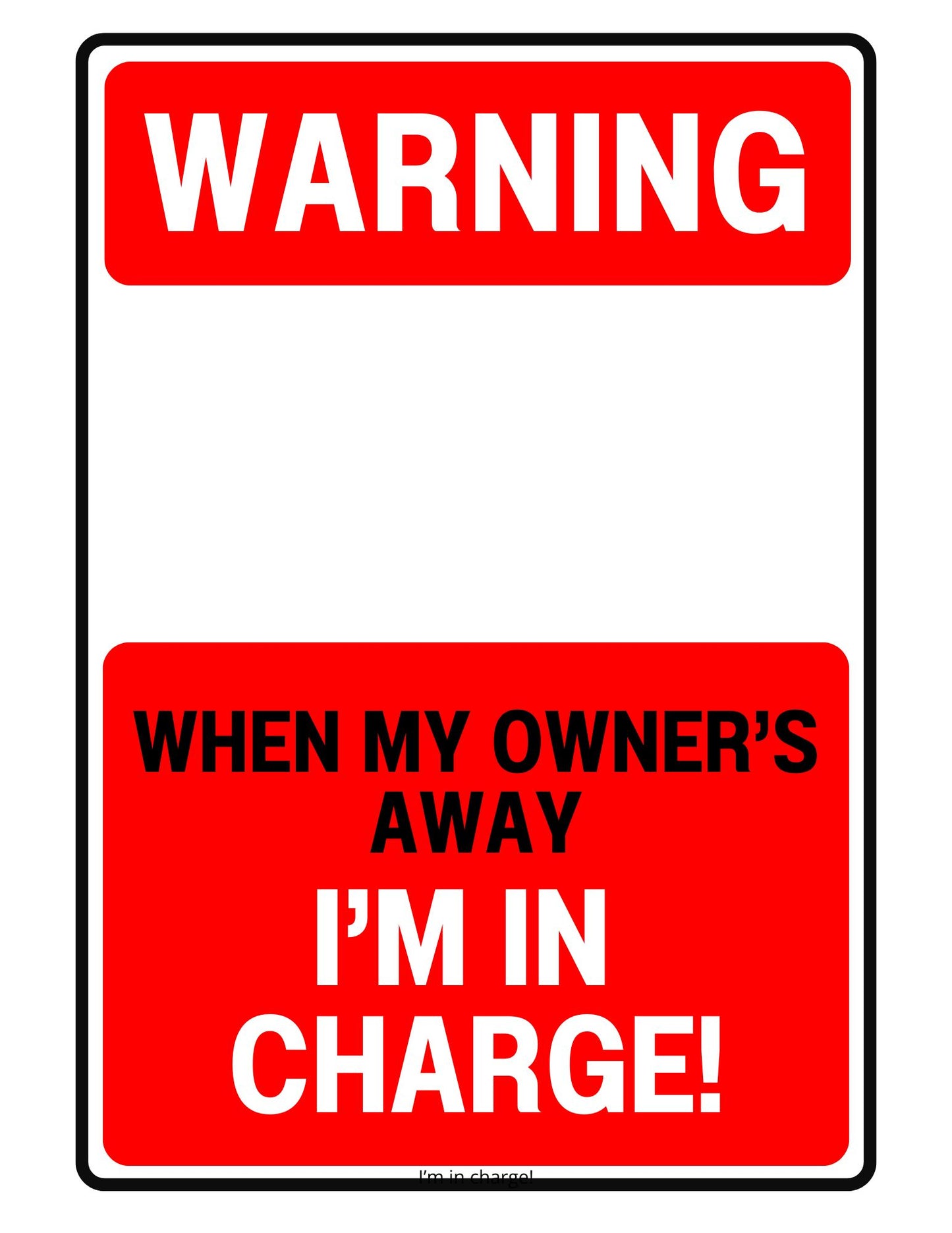 I'm In Charge