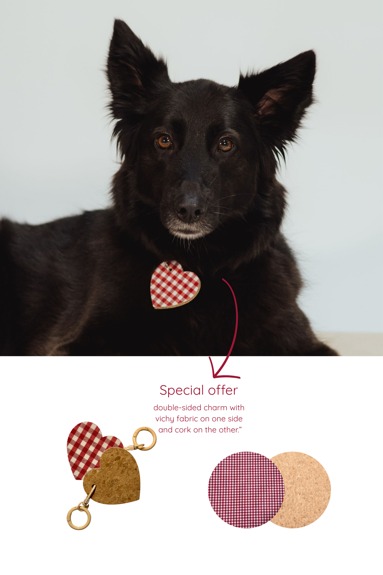 MON CHERRY PET BED & PET MAT VICHY