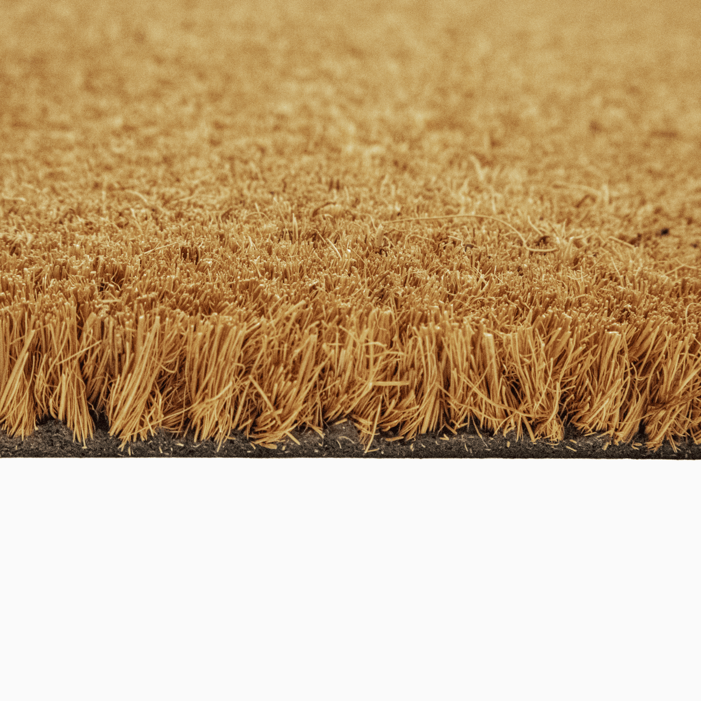 The Cat Is Judging You Doormat with breeds like Maine Coon and Persian, perfect for cat lovers