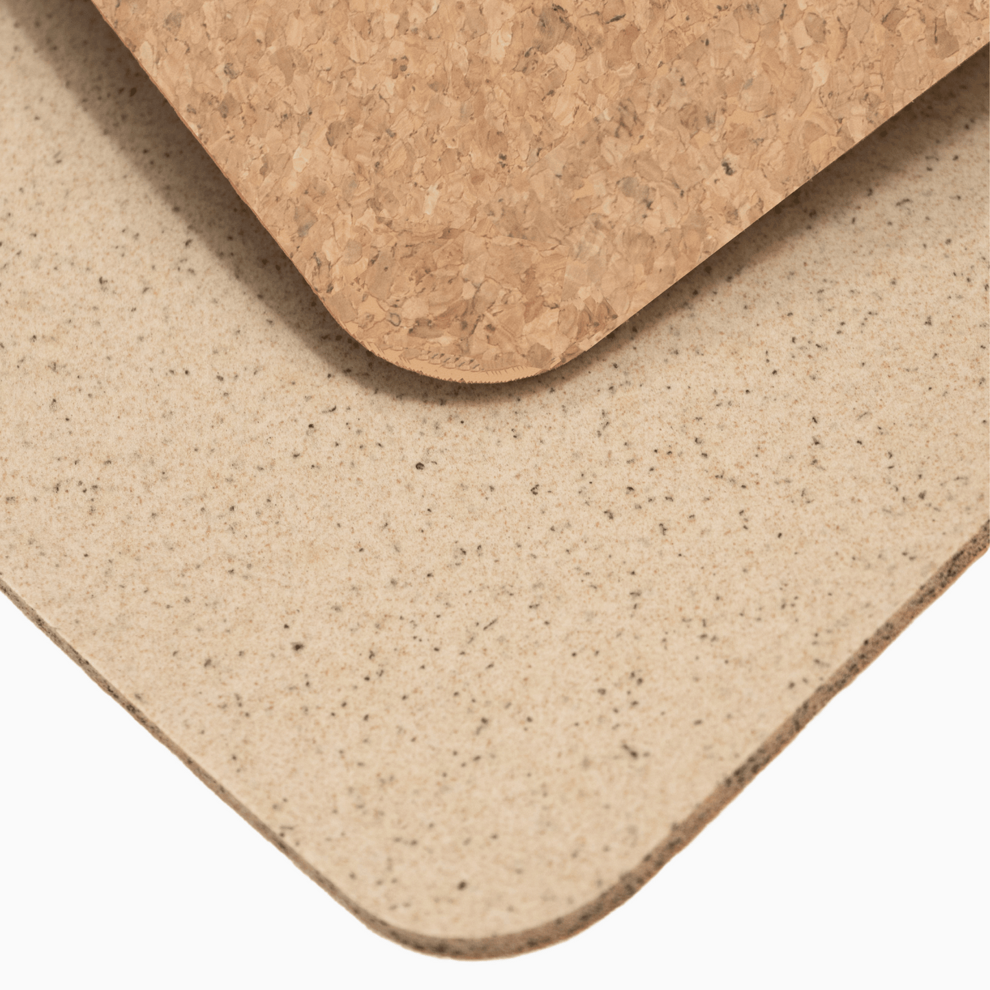 The Cat Is Judging You Doormat with breeds like Maine Coon and Persian, perfect for cat lovers