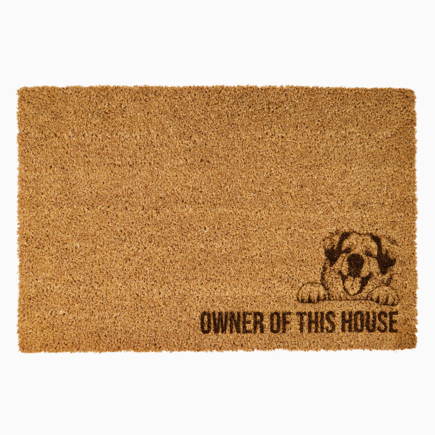 Owner Of This House Doormat with breeds from Border Collie to American Buly, perfect for dog lovers