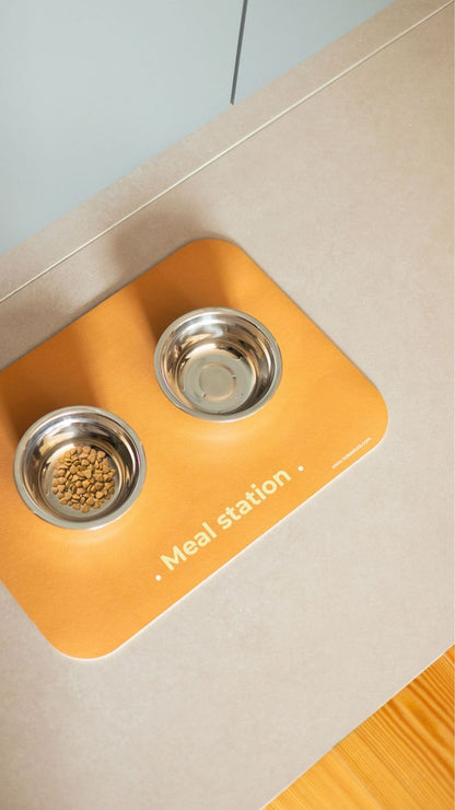 PET MAT MEAL STATION