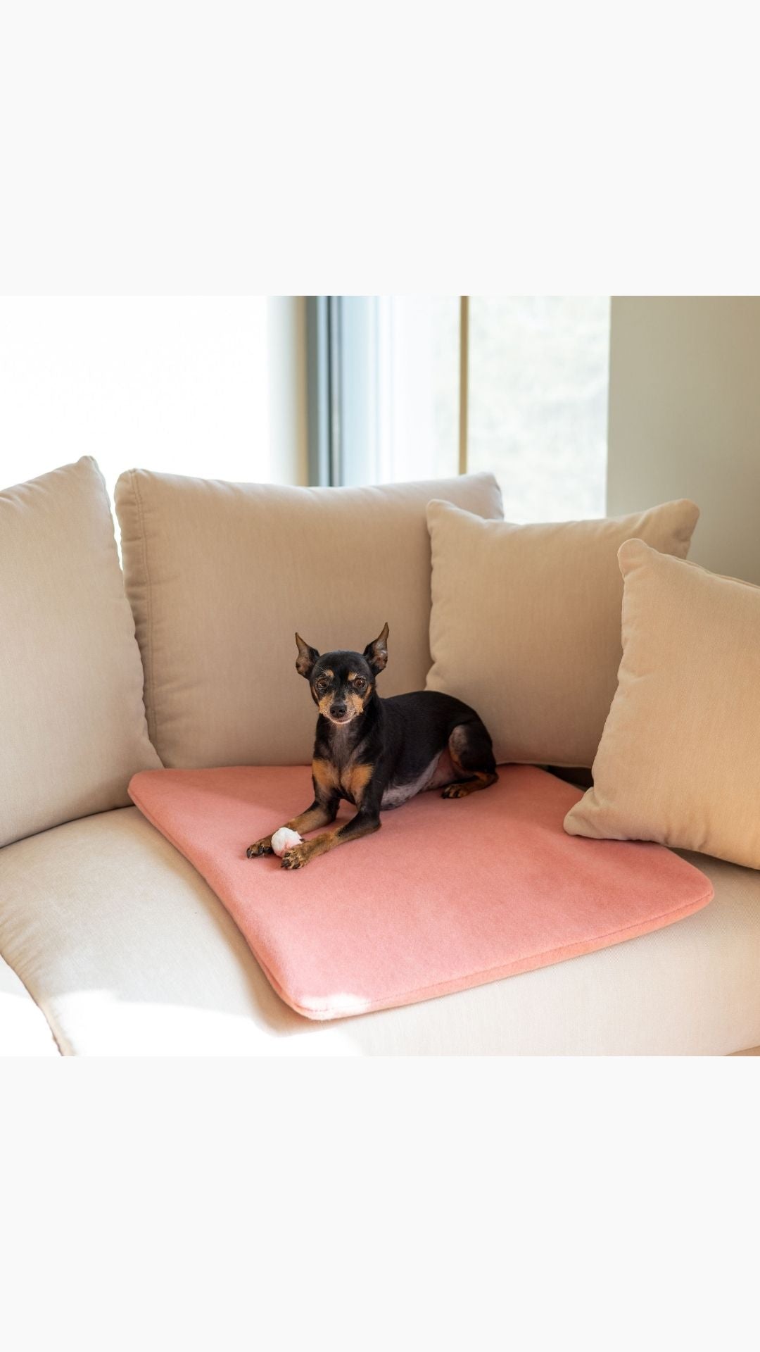 PUPILLOW