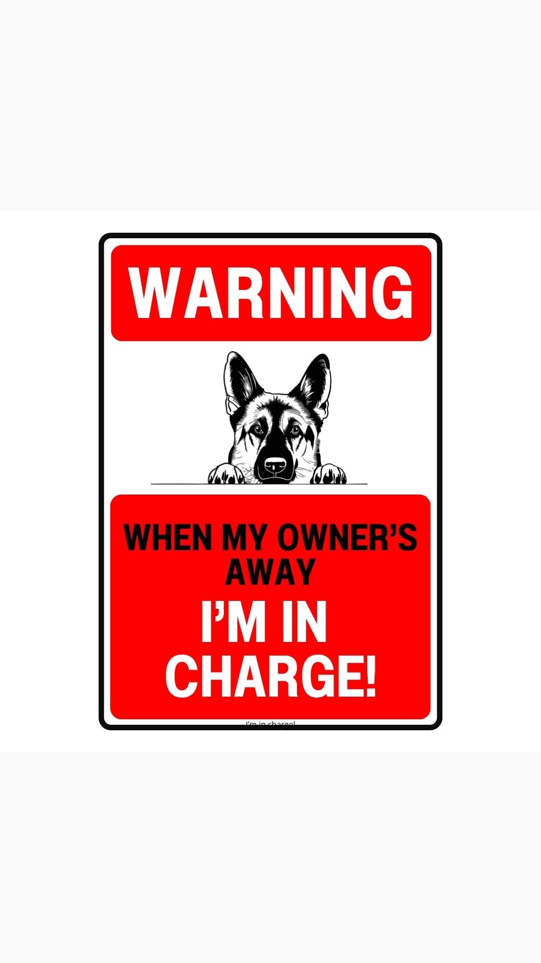 I'm In Charge