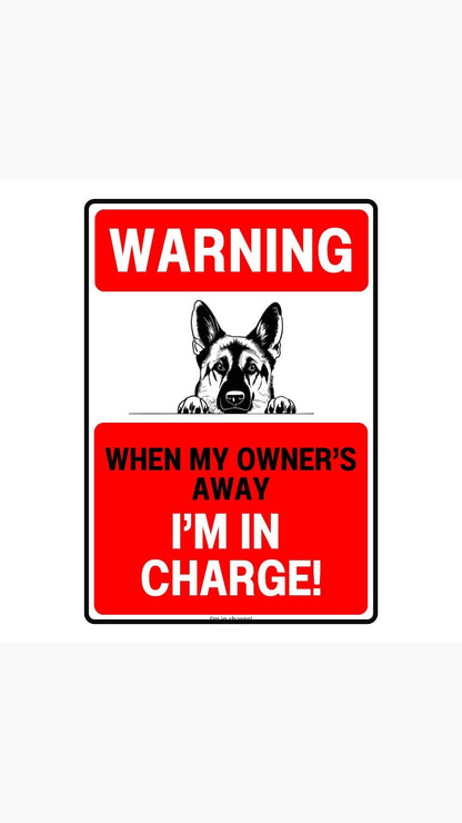 I'm In Charge