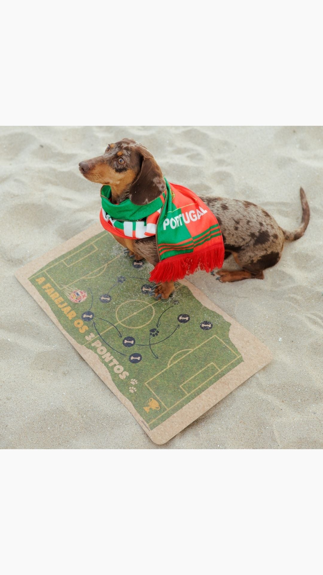 Football Fan Feeding Mat