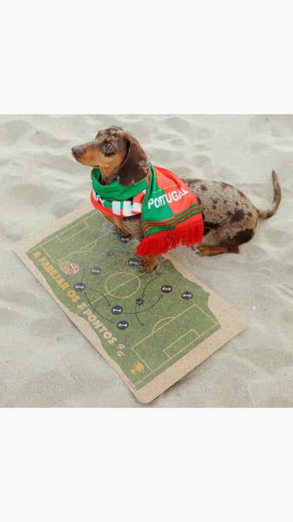Football Fan Feeding Mat