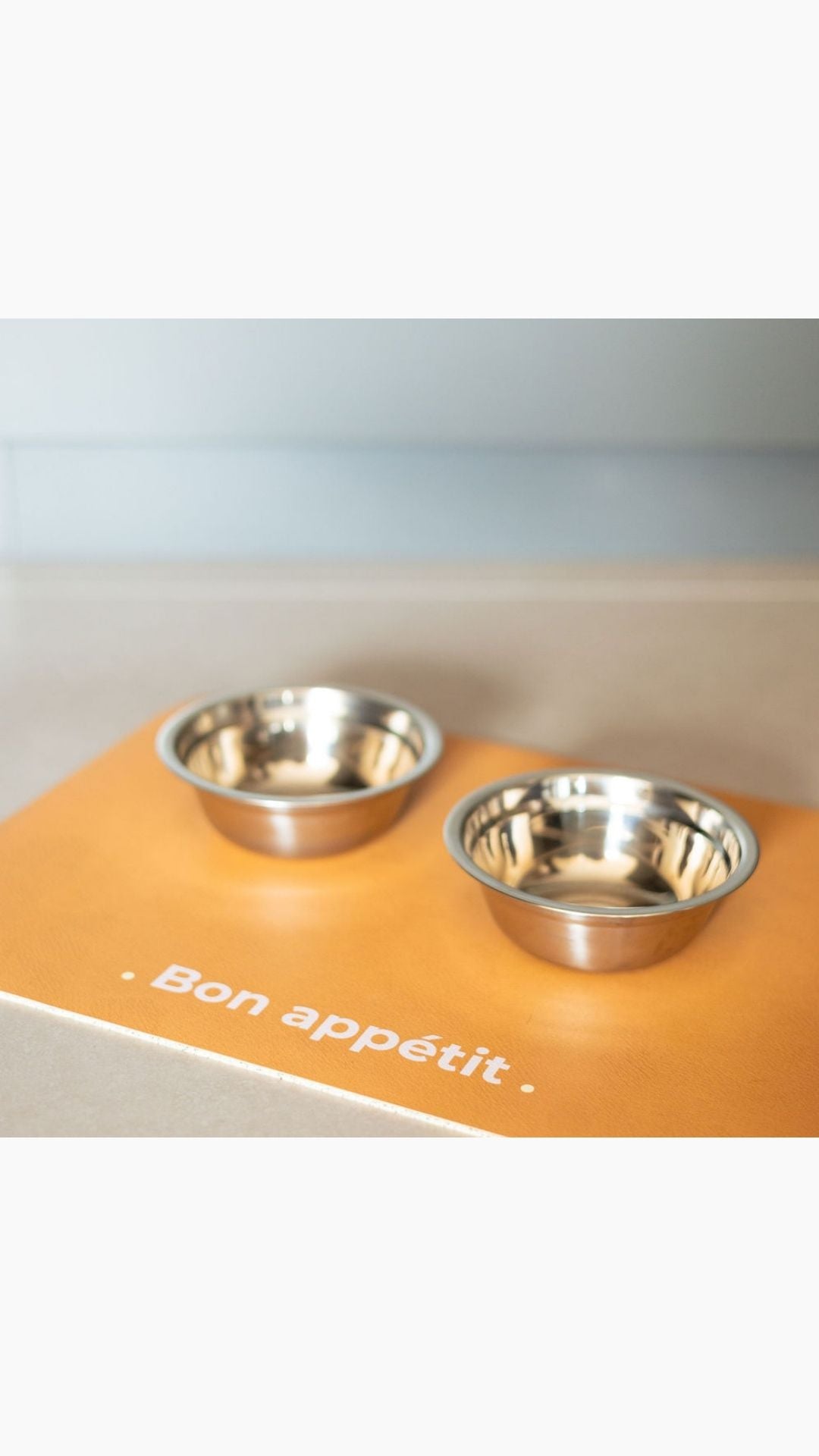 PET MAT BON APPÉTIT