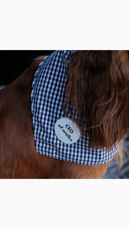 MOODog BLACK VICHY + 8 PIN's