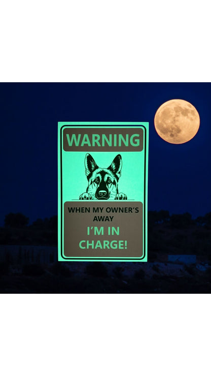 I'm In Charge