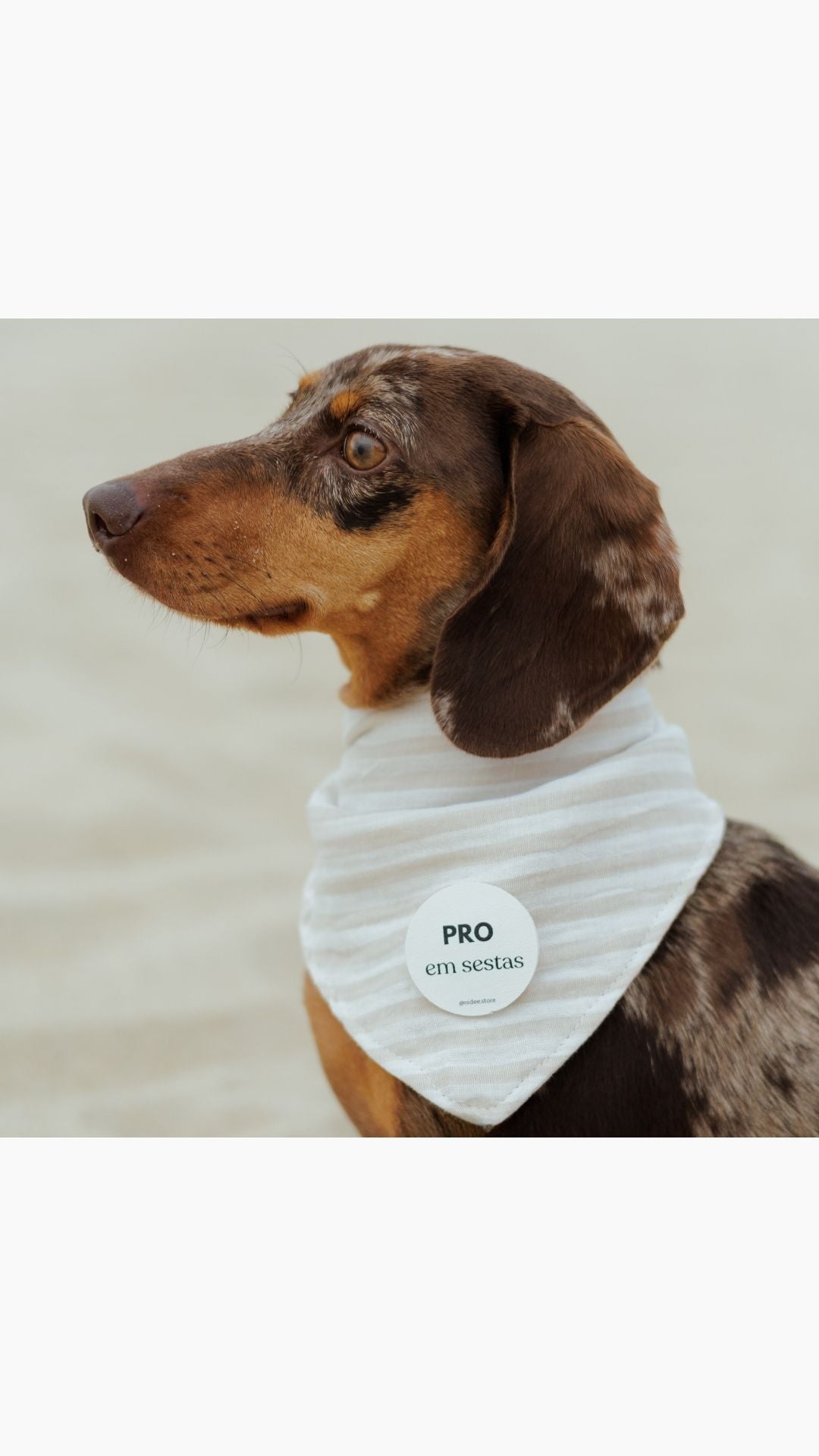 MOODog Bandana