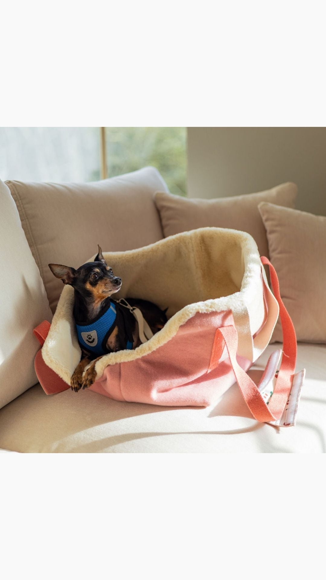 MON CHERRY PET CARRIER
