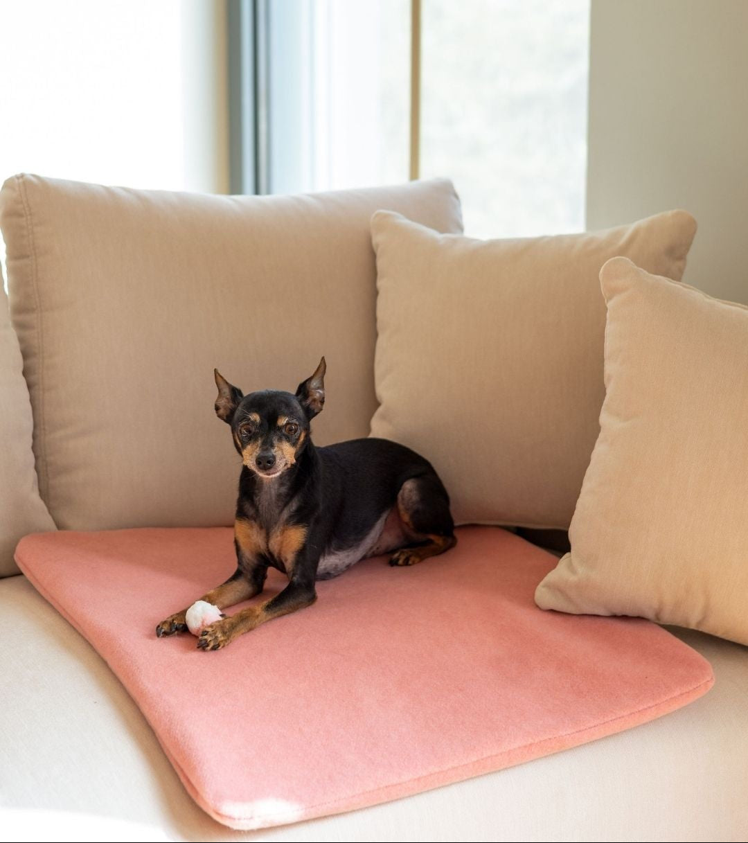 PUPILLOW
