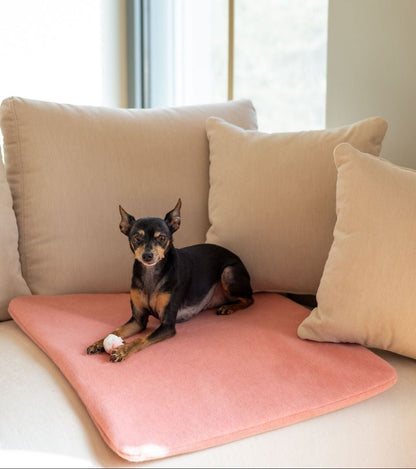 PUPILLOW