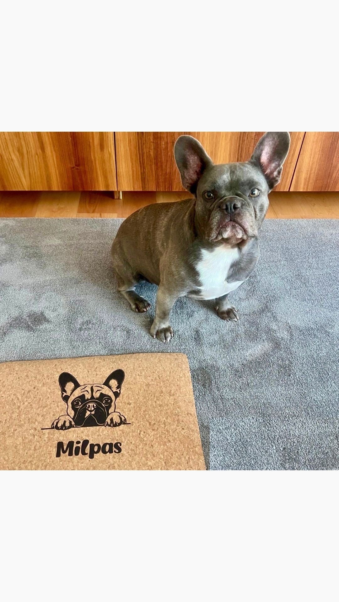 Dog Mat