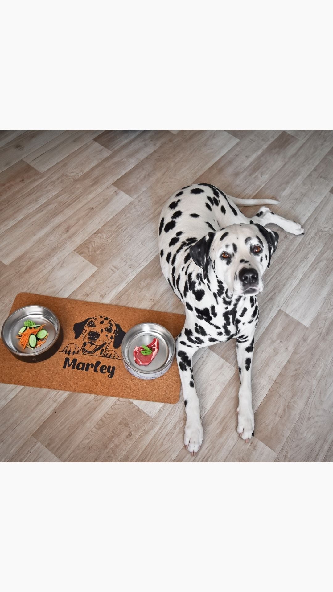 Dog Mat