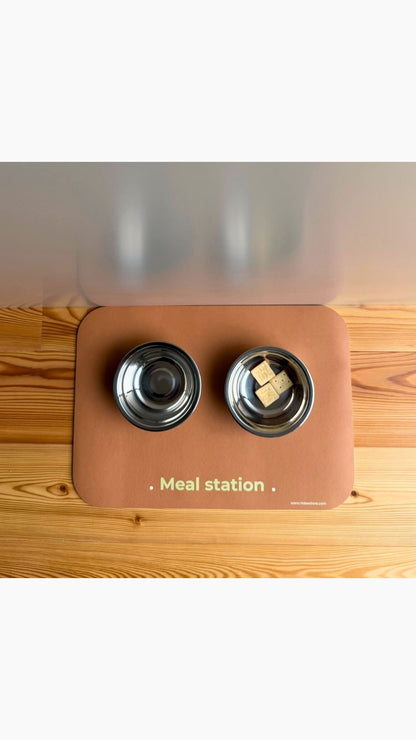 PET MAT MEAL STATION