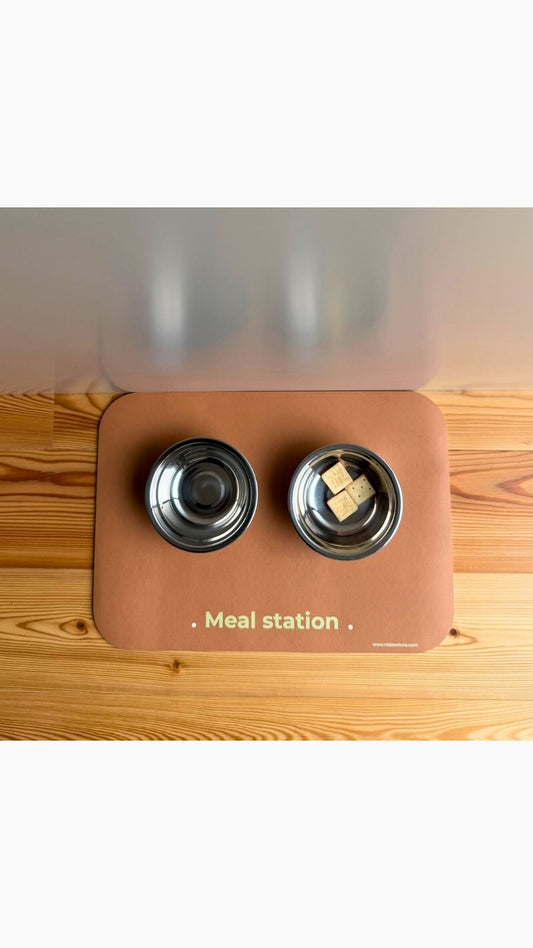 PET MAT MEAL STATION