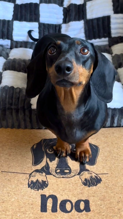 Dog Mat