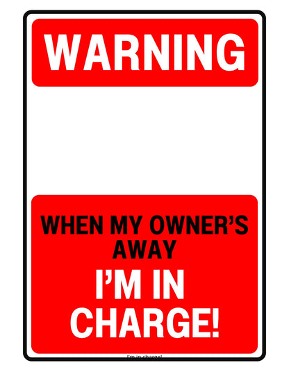 I'm In Charge
