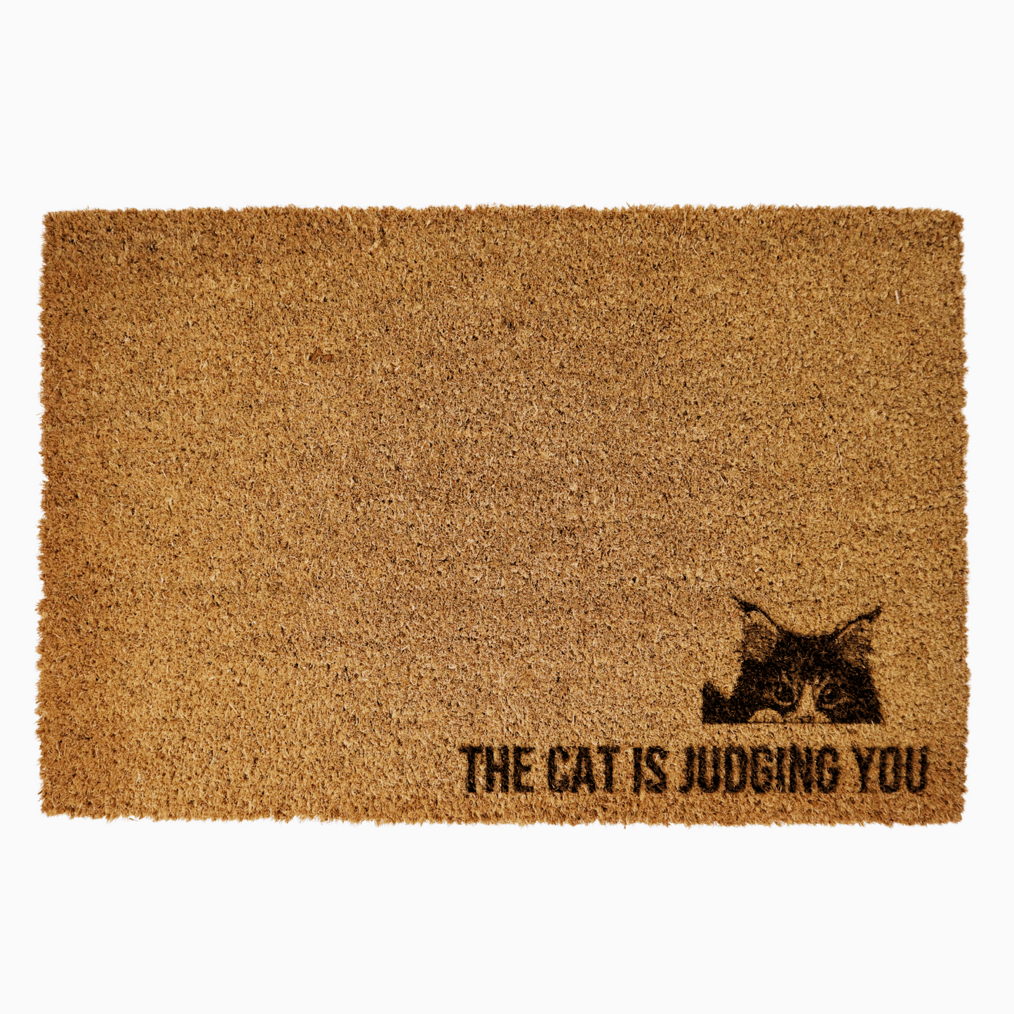 The Cat Is Judging You Doormat with breeds like Maine Coon and Persian, perfect for cat lovers