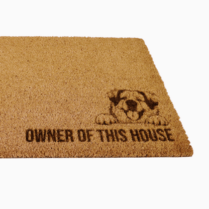 Owner Of This House Doormat with breeds from Border Collie to American Buly, perfect for dog lovers 