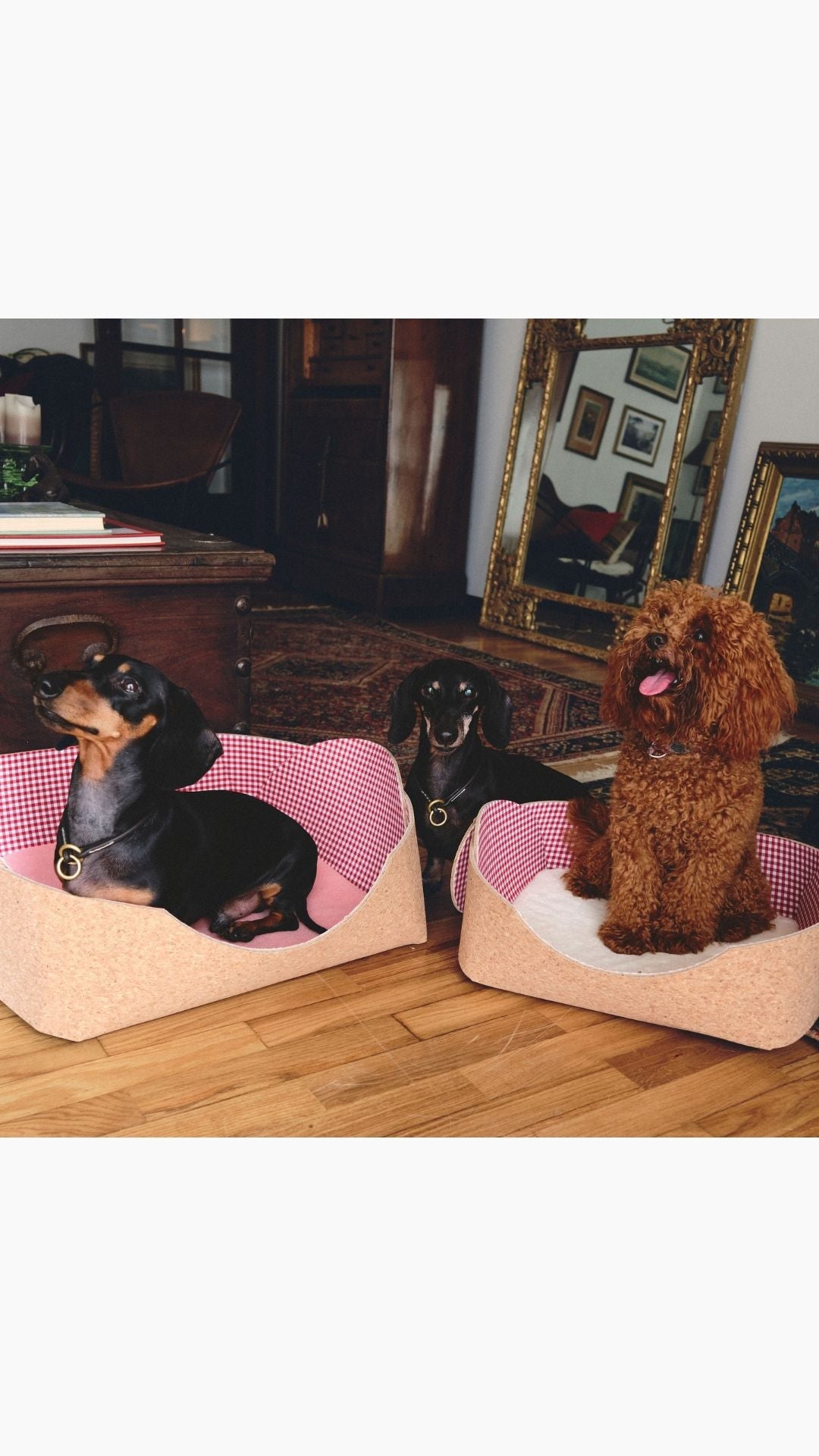 MON CHERRY PET BED