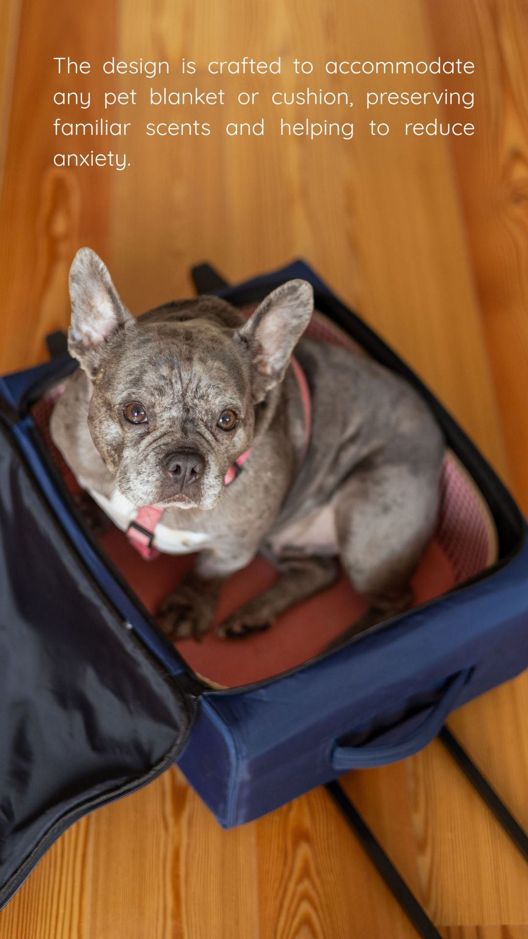 MON CHERRY PET BED