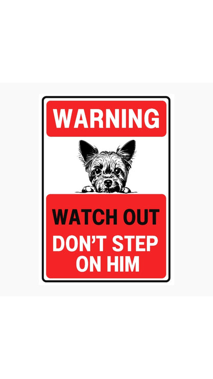 Don't Step On Him