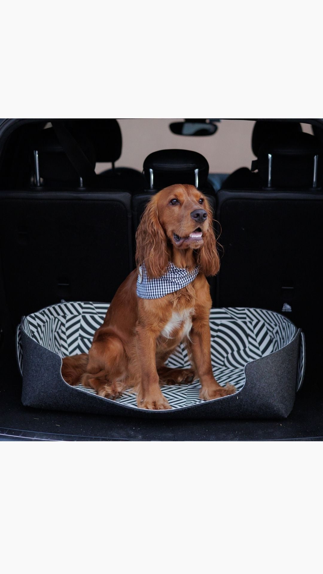MONO Pet Bed Reversible