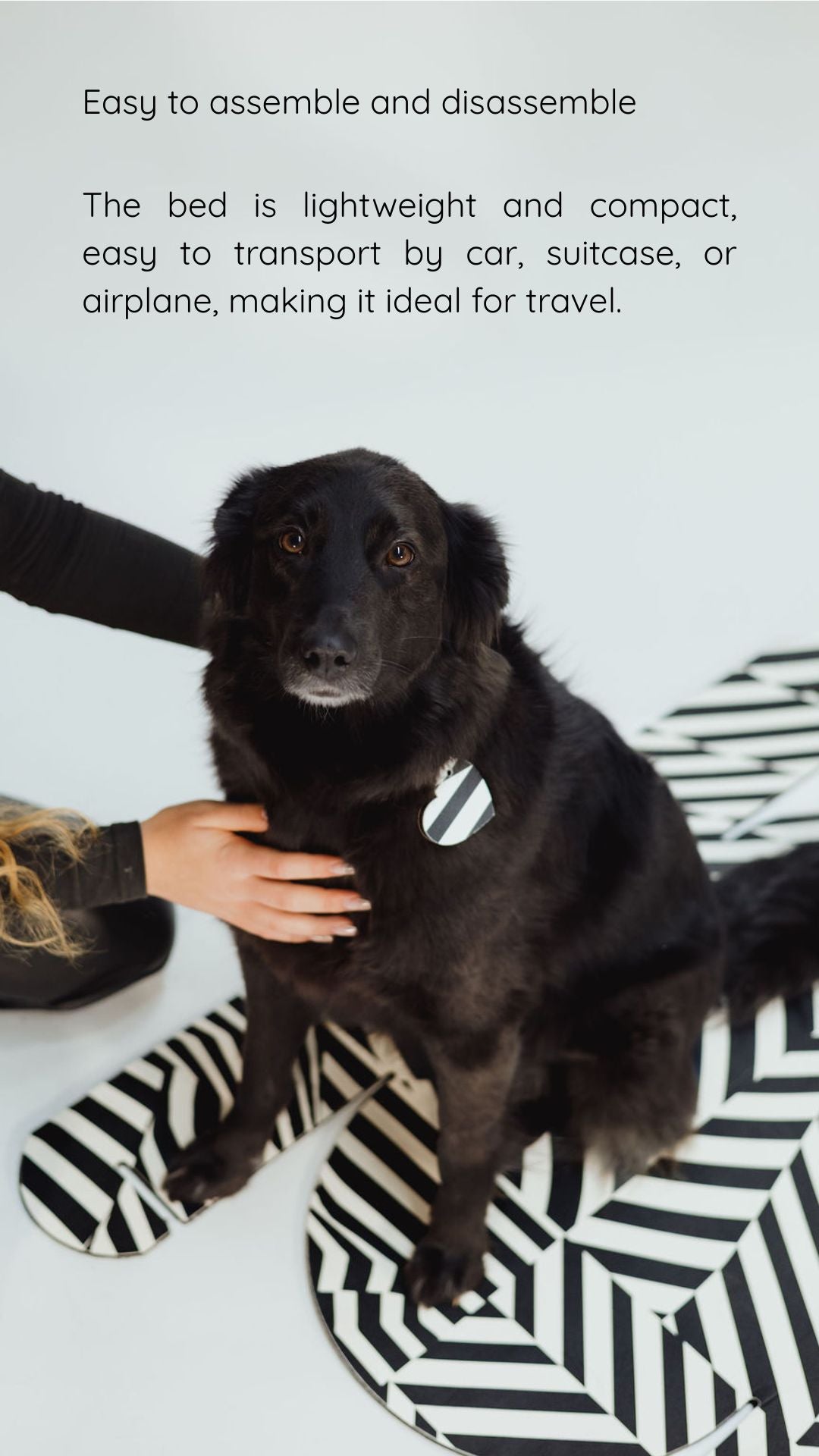 MONO Pet Bed Cork