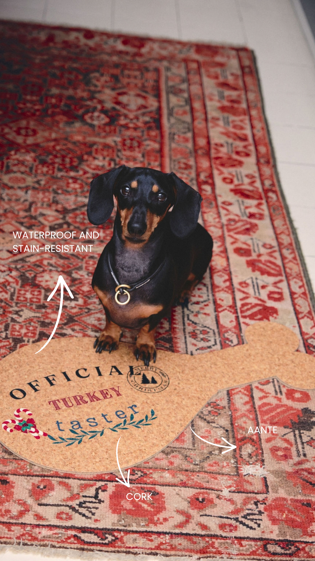 OFFICIAL TURKEY TASTER MAT