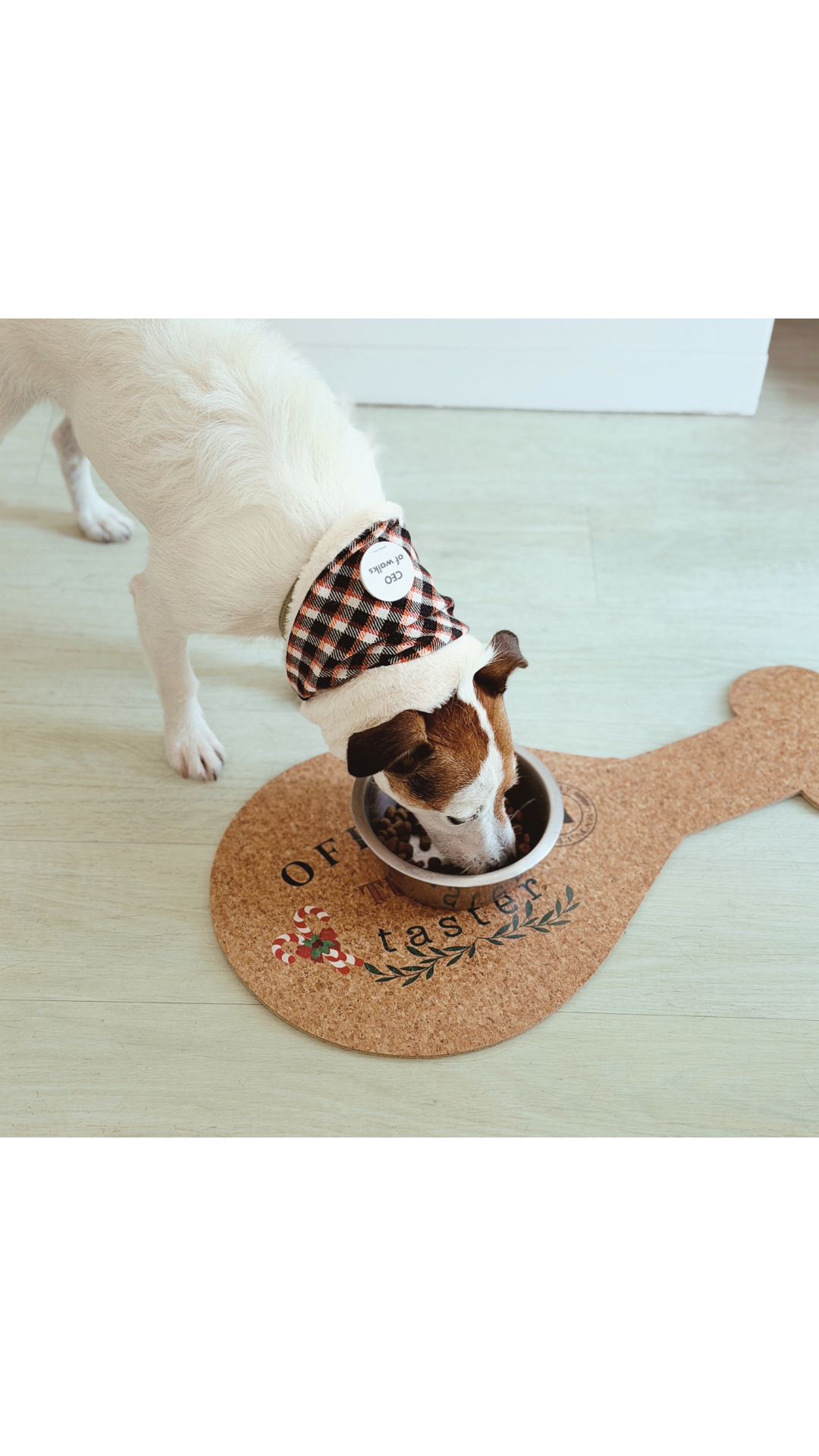 OFFICIAL TURKEY TASTER MAT