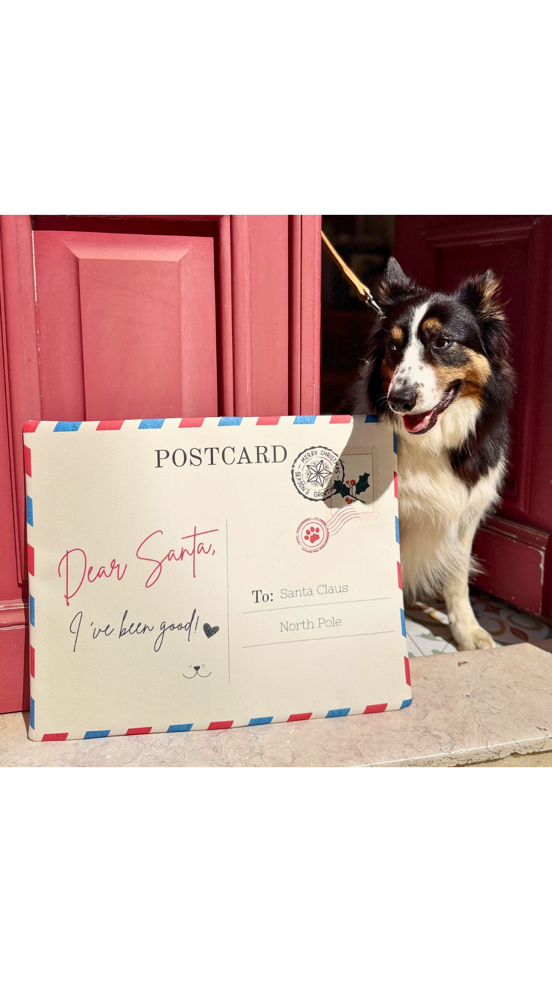 POSTCARD PUFF PET