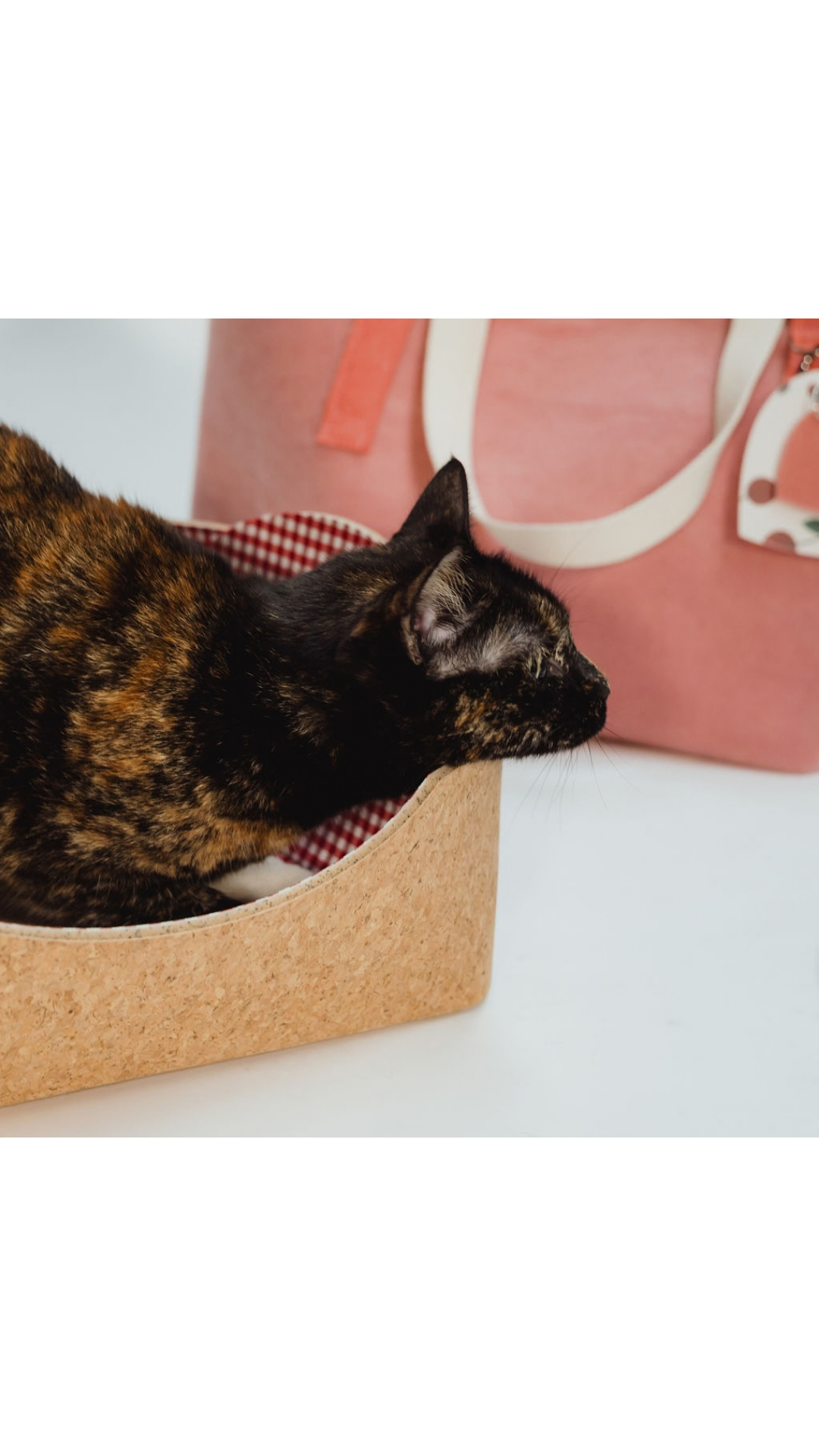 PET BED XMAS