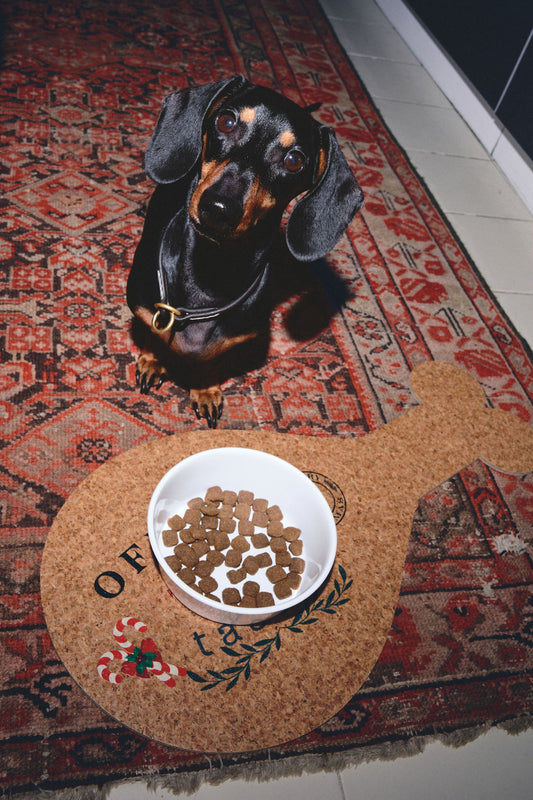 OFFICIAL TURKEY TASTER MAT