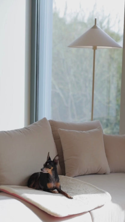 PUPILLOW
