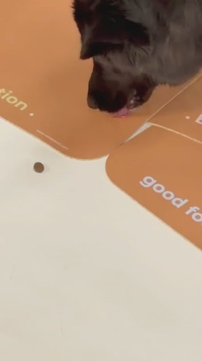 PET MAT MEAL STATION